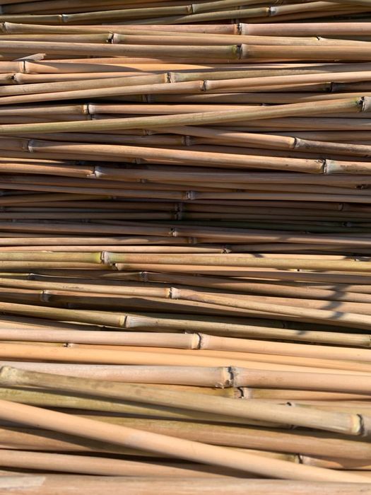 Tyczki/ kijki bambusowe