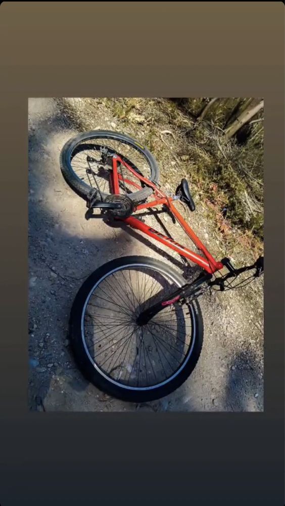 Vendo ou troco Bicicleta berg 27.5