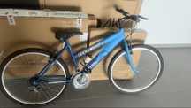Bicicleta Adulto