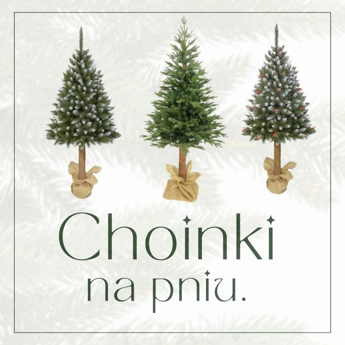 Choinki na pniu w trzech rozmiarach . Jakość premium . Polski producet