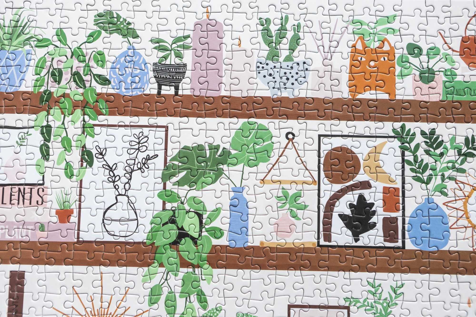 Puzzle Galison, Plant Shelfie 1000 el kompletne, rośliny