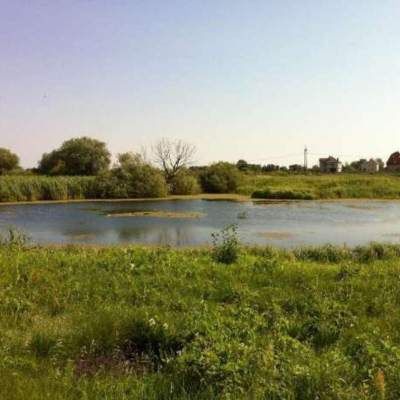 земельна ділянка з цоколем