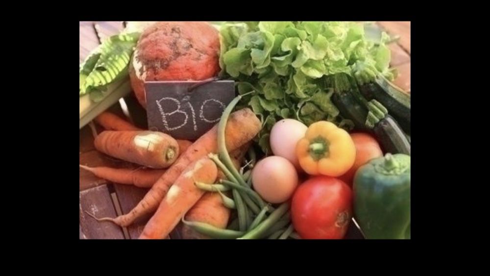 Najtaniej !!! Obornik granulowany kurzy bydlęcy nawóz 100 % naturalny