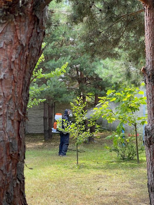 Садові   послуги( Обробка дерев)