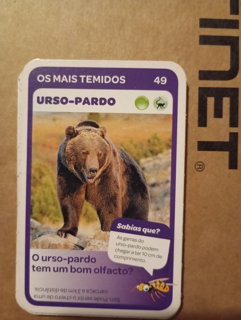 Cartas super animais - vida selvagem