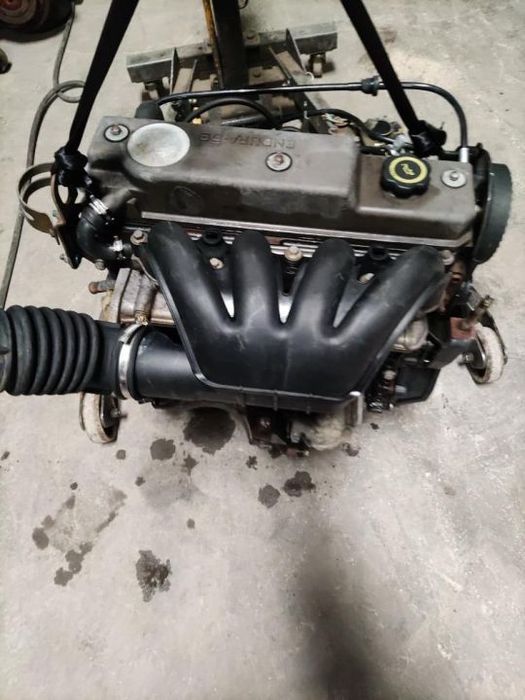 Motor - Ford 1.8d Endura-De ( 1996 / 2001 )