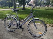 Onilus damka 26"
