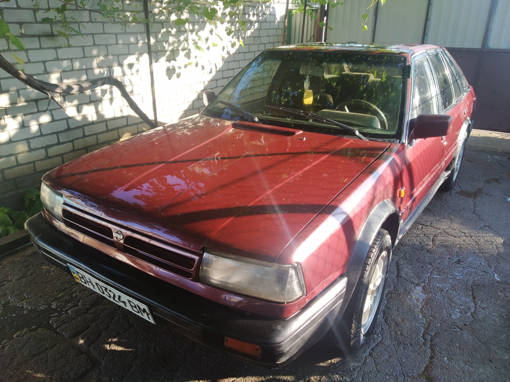 Nissan bluebird, Нисан блюберд