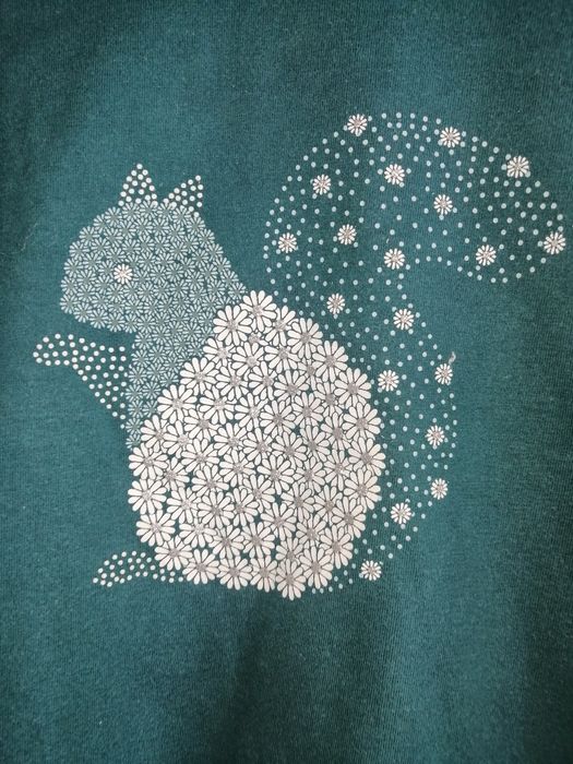 Bluzeczka jesienna z wiewiórką