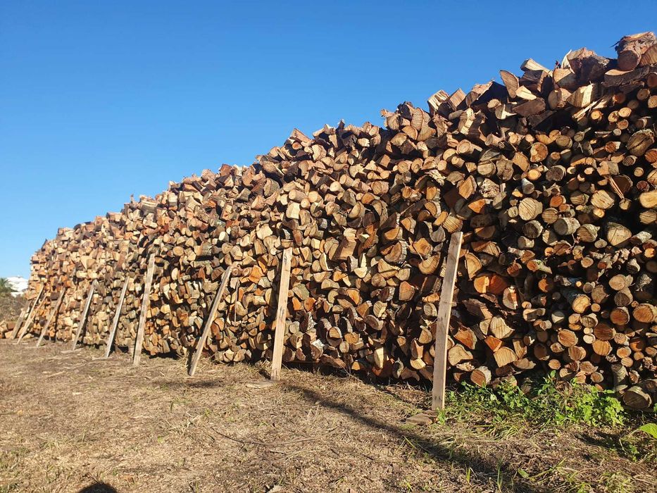 Lenha Seca para Lareira / Firewood