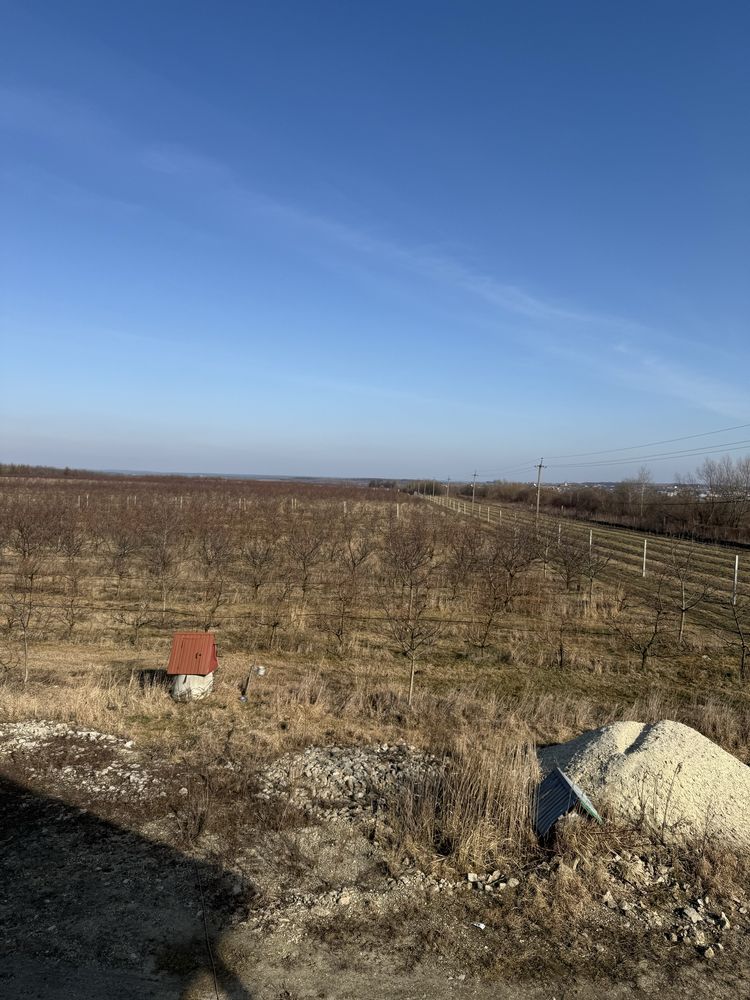 Продаж масиву ділянок с/г призначення , Львівщина