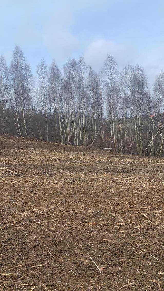 Karczowanie działek, wycinka drzew, mulczowanie, usługi mulczerem