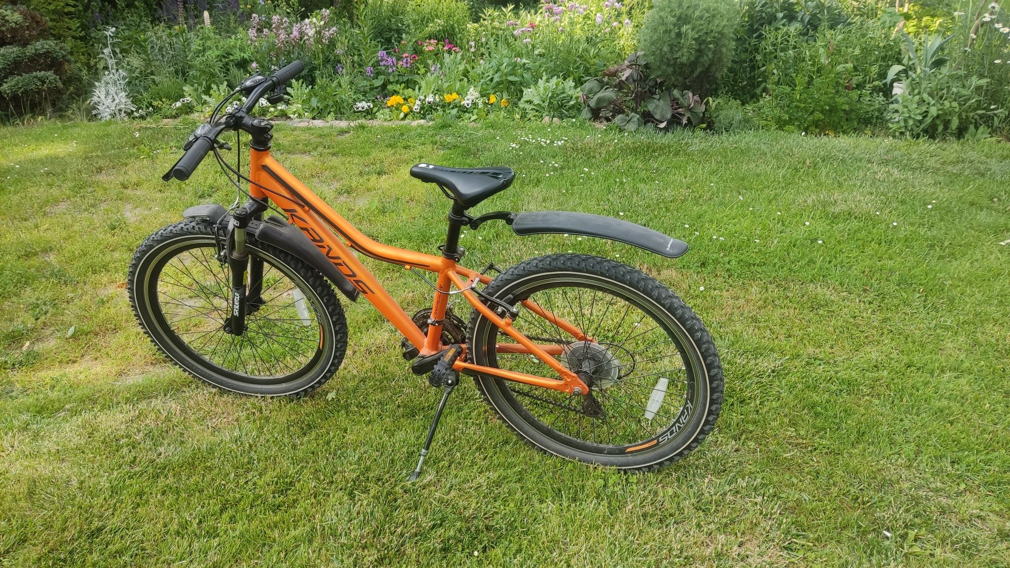 Rower Kands Dragon
