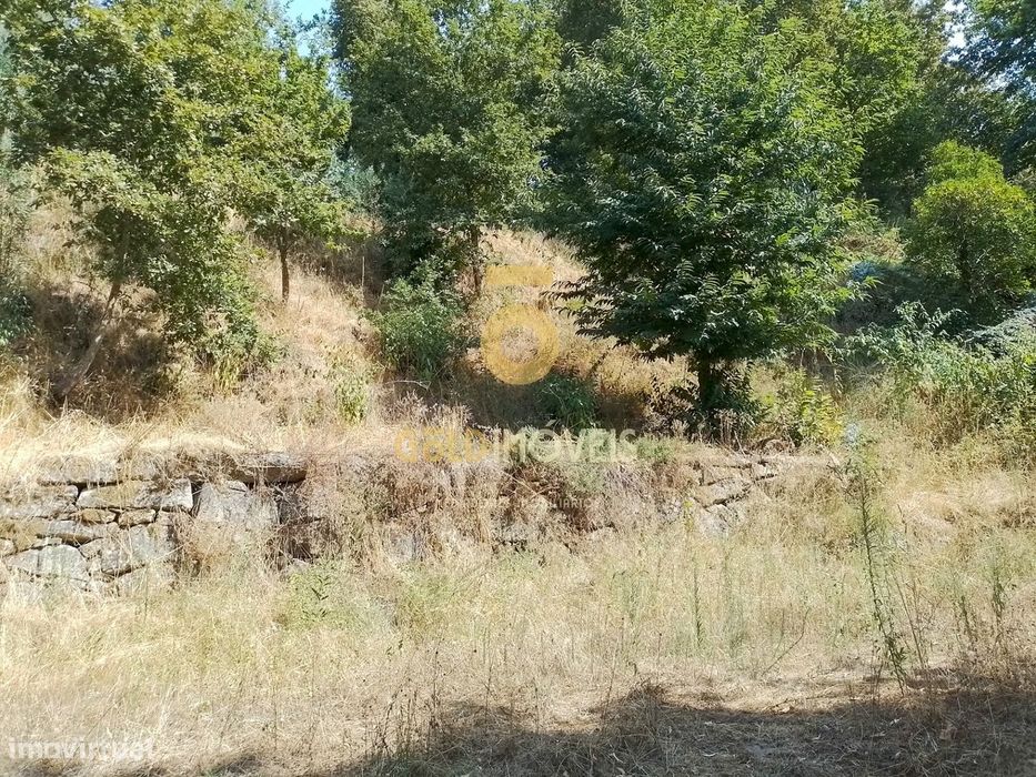 Terreno Rústico  Venda em São Cristóvão de Nogueira,Cinfães
