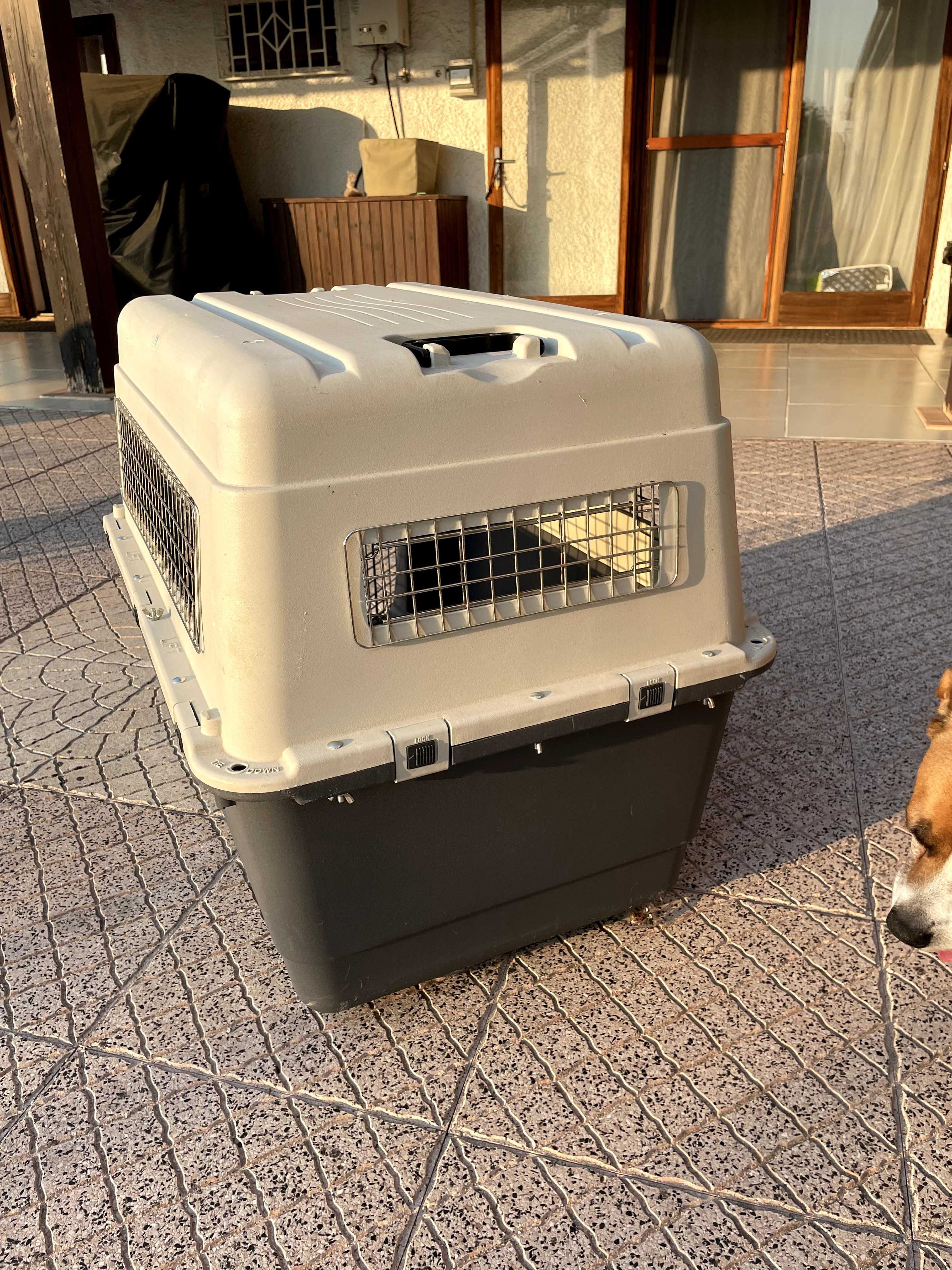 Caixa de Transporte Para Cães