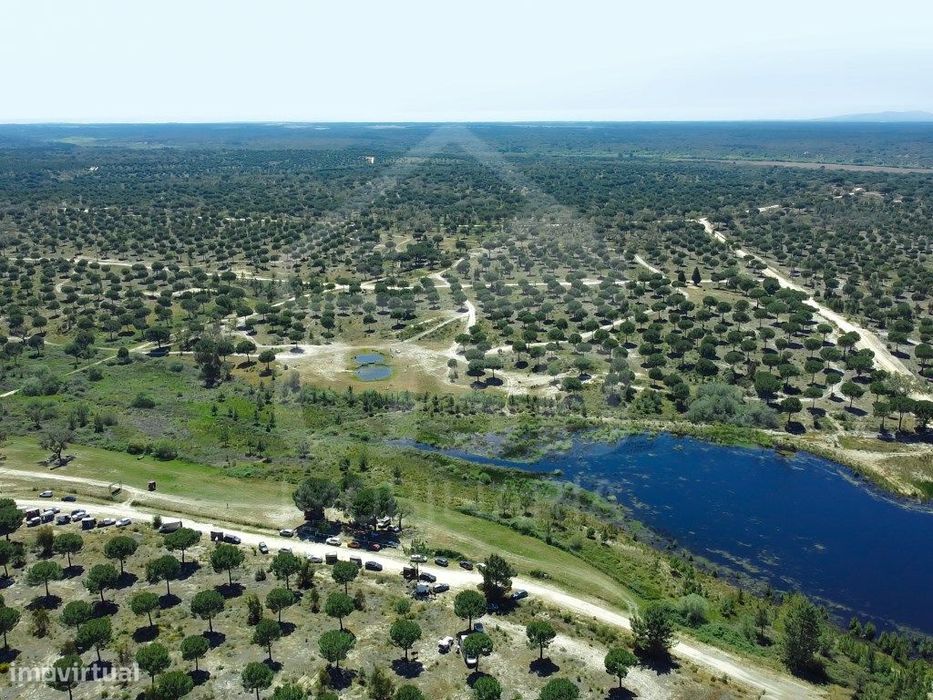 Terreno na Mata do Duque II, Santo Estêvão