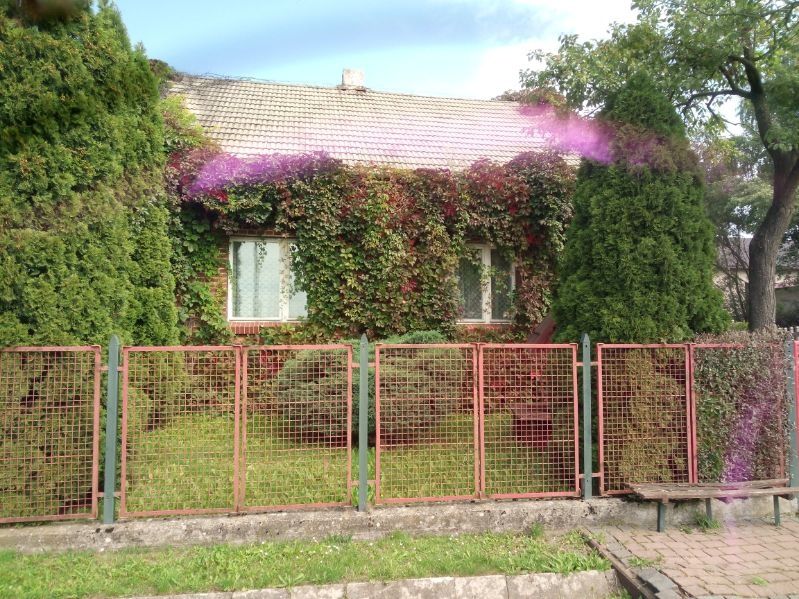 Dom z ziemią 3h ( las, budynki gospodarcze)