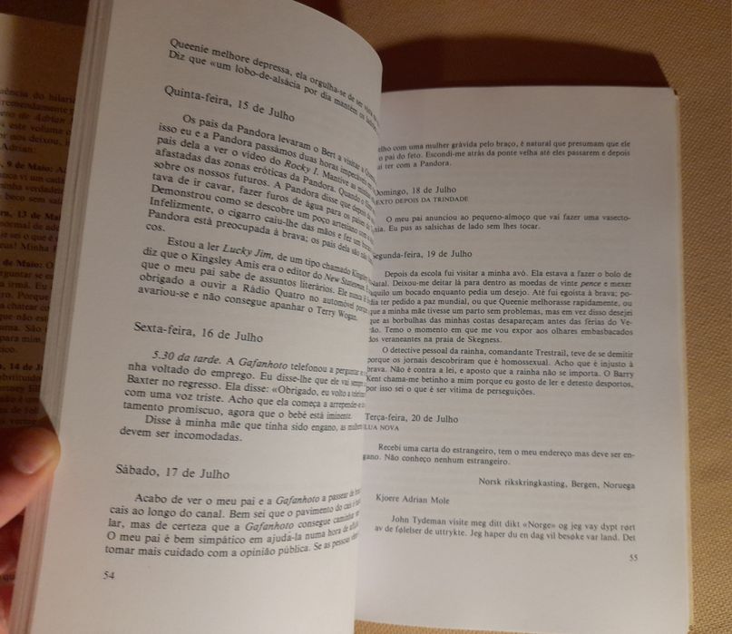 "Adrian Mole na crise da adolescência"