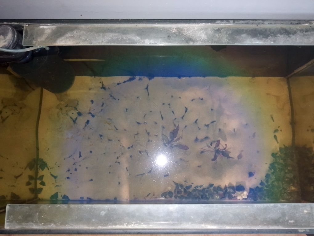 Akwarium 160l 80x40x50 8mm + akcesoria