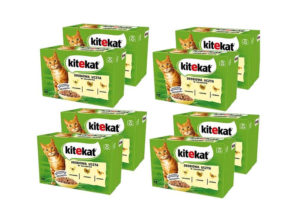 Kitekat drobiowa uczta drobiowe smaki w galarecie 96x 85g