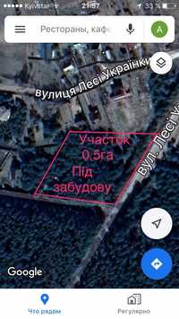 Участок 0.5г с хвойными деревьями в макаровском райне киевской области