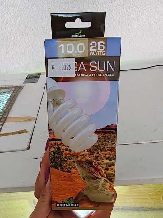 Terrário com Adaptador