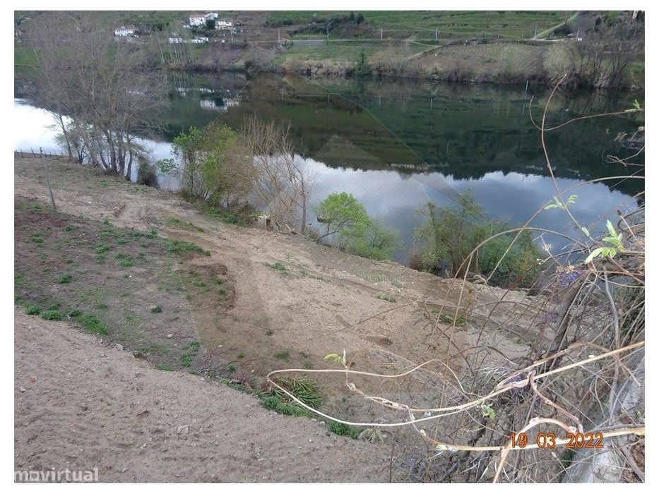 Quintinha - Mesão Frio