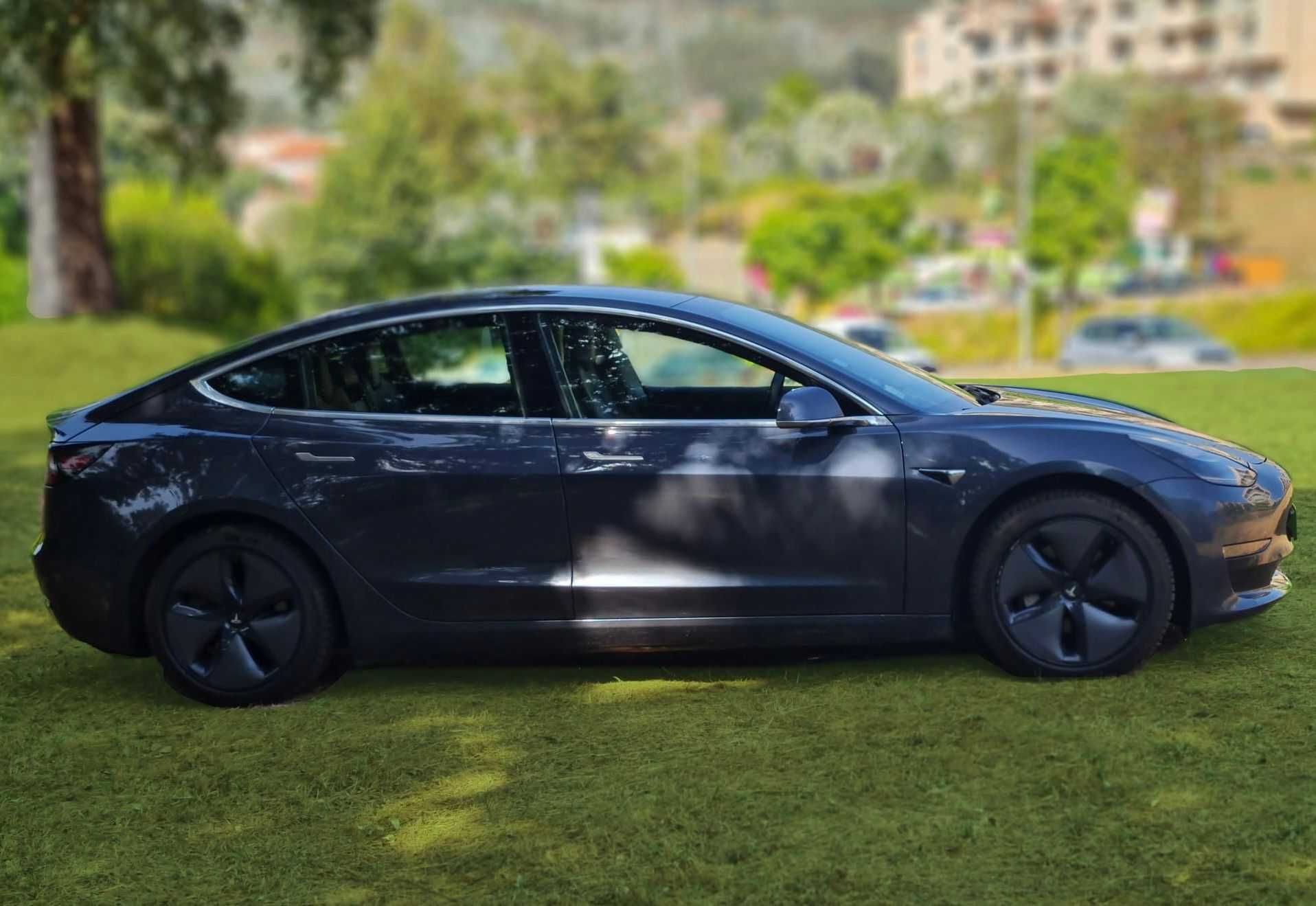 Tesla Model 3 Long-Range Dual Motor