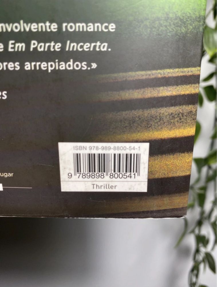 Livro “A Rapariga no Comboio”