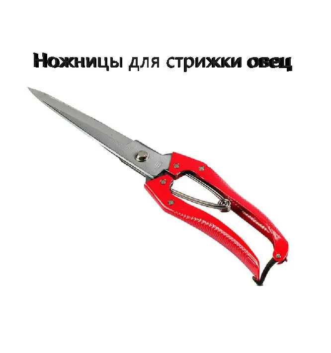 Ножницы для стрижки овец