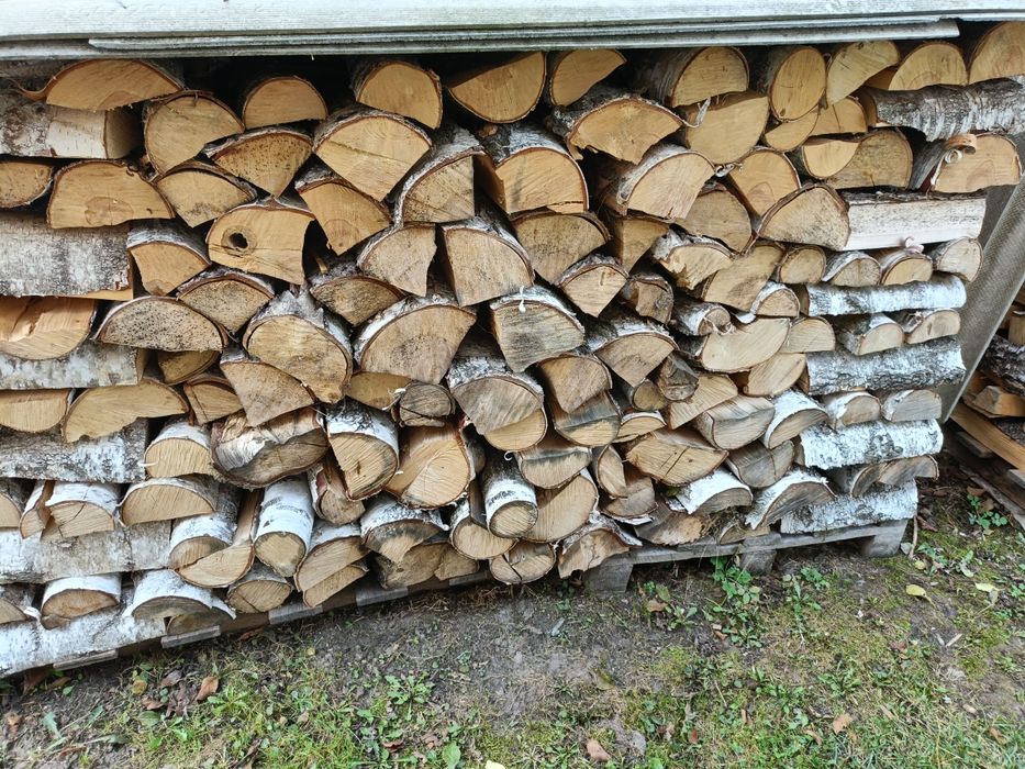 Suche liściaste drewno opałowe