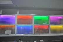 NEON LED o dł. 1m  8 szt., każda w innym kolorze - SUPER EFEKT 230V