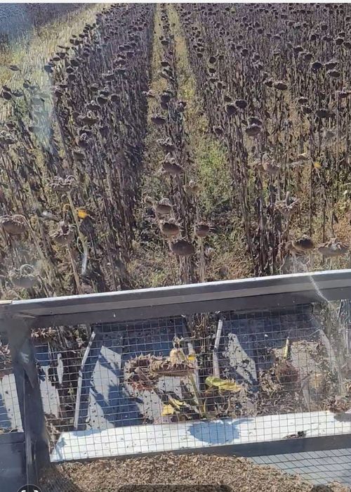 Продам комбаин AKROS 530