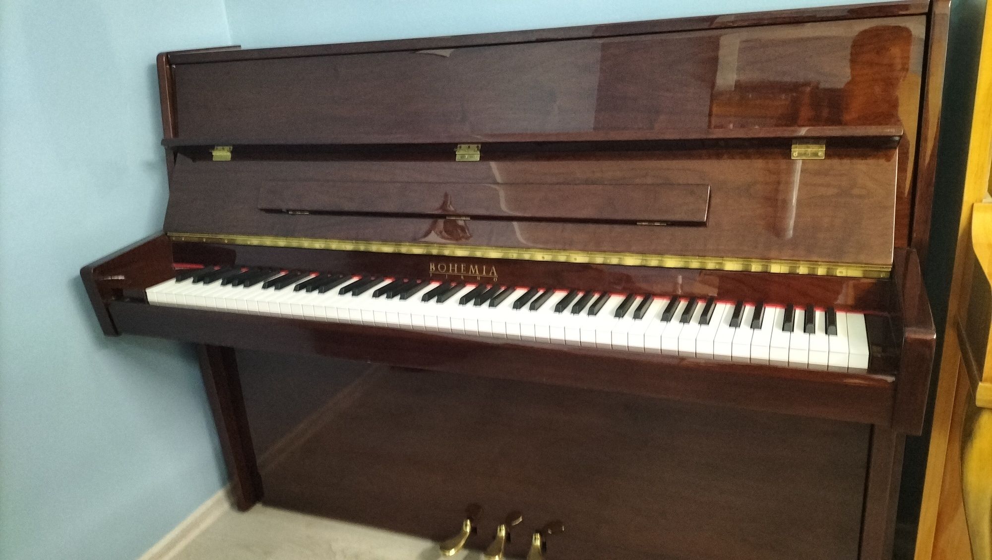 Panino Bohemia 110 piękne jak nowe