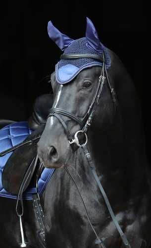 Nauszniki dla konia Empara