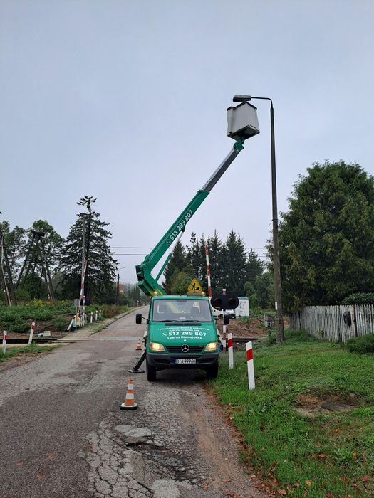 Wycinka drzew, podnośnik koszowy, zwyżka