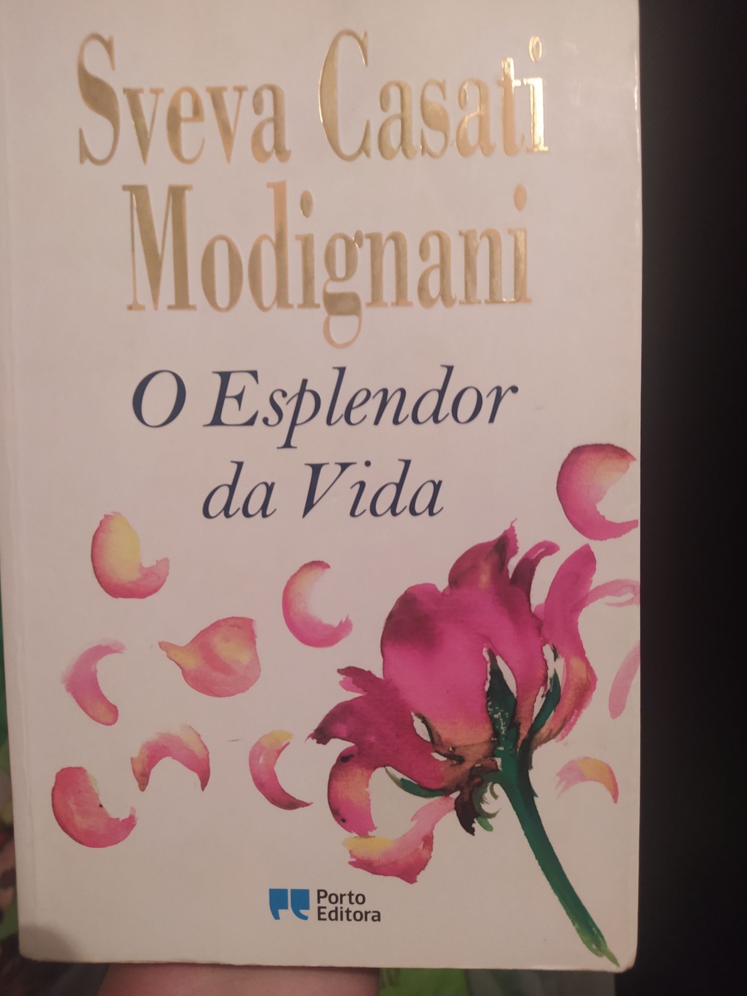 Livros de Sveva Casati Modignani