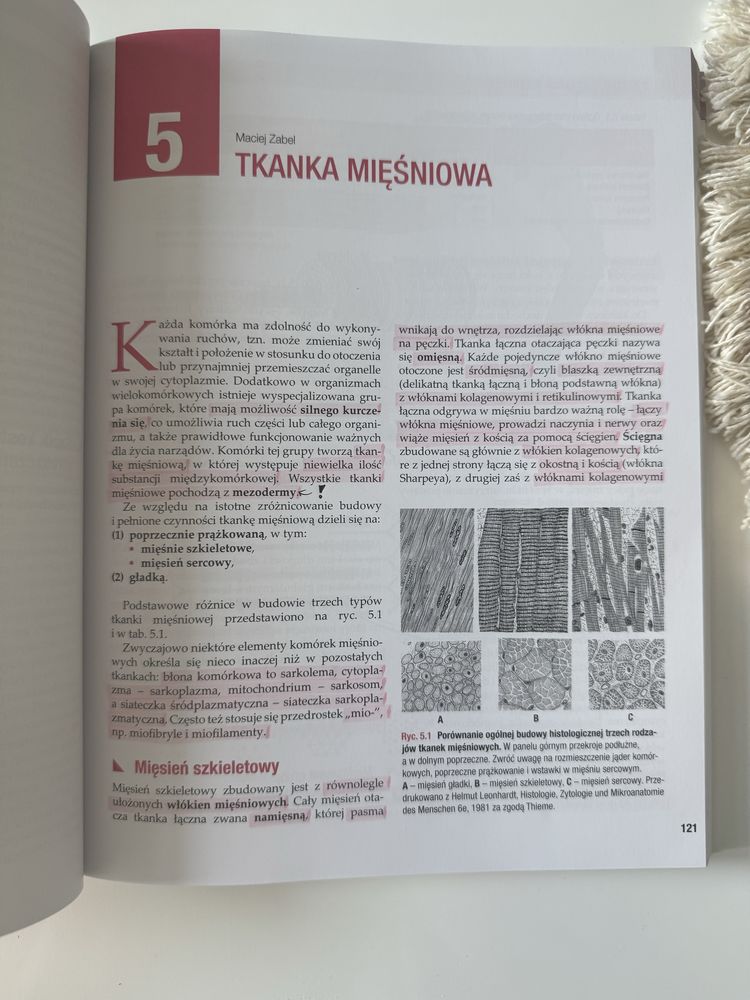Histologia Maciej Zabel Nowa wersja