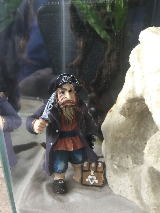 Akwarium kostka krewetkarium 10l