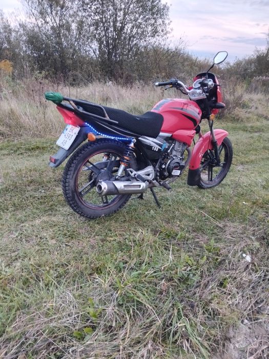 12345667900лпсиряс