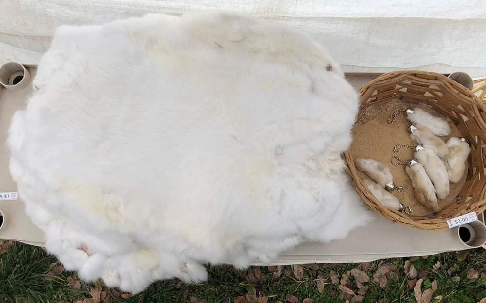 пропоную нові шкірки білого кролика породи панон
proponuyu novi shkirk