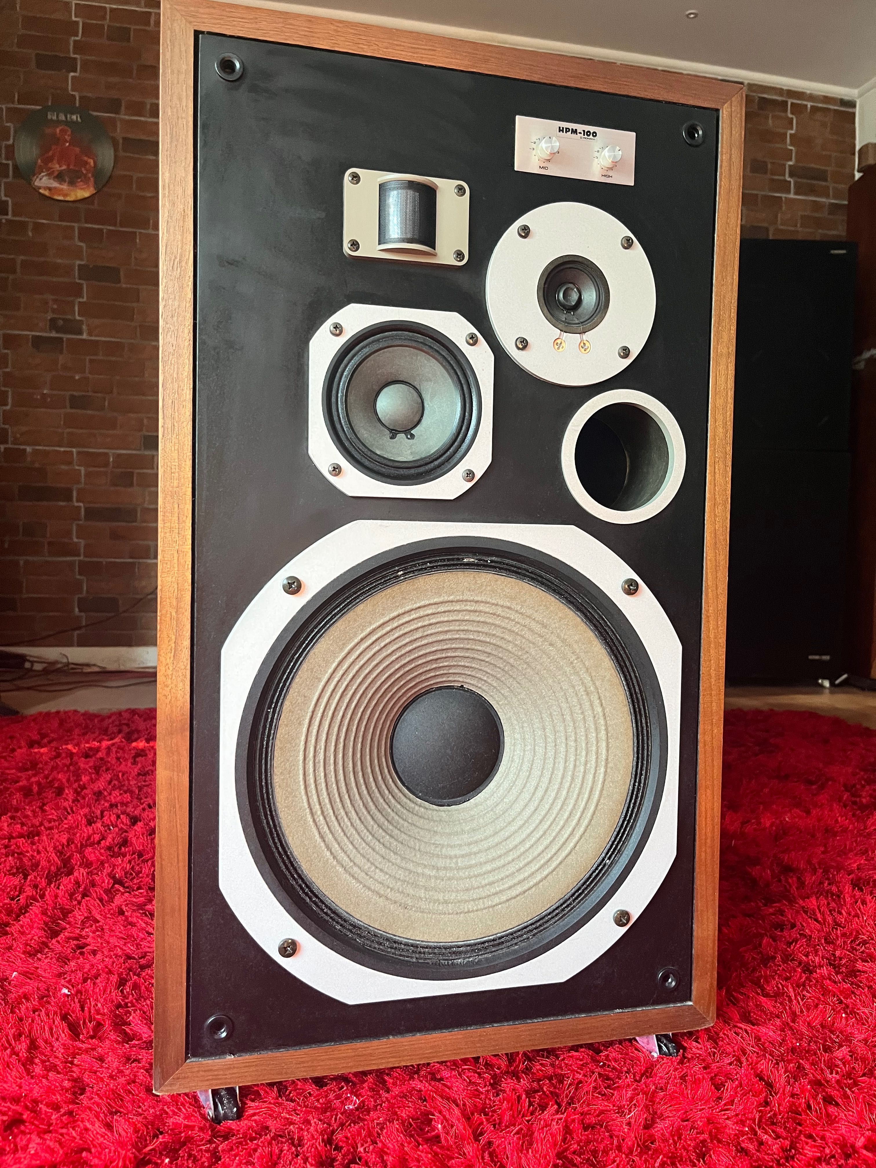 Colunas pioneer HPM-100
