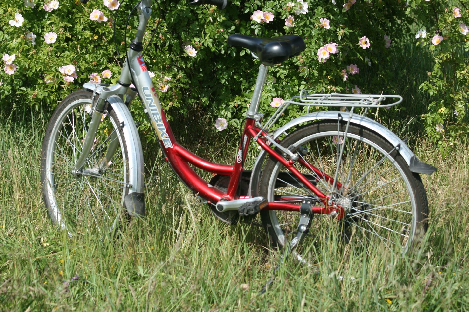 Rower Unibike Princess 24''