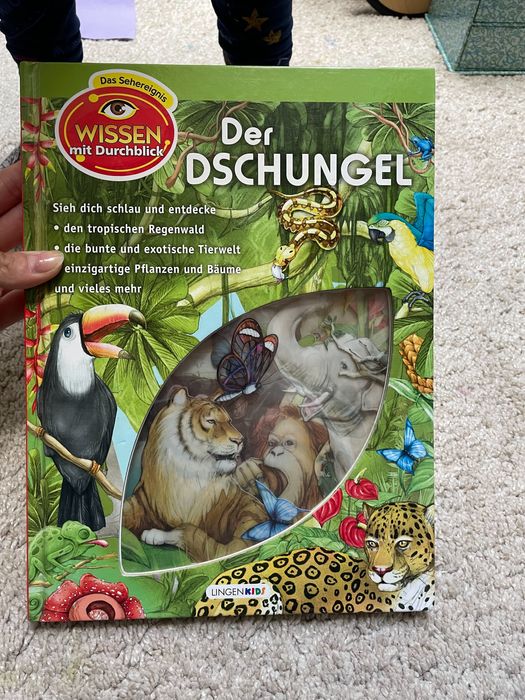 Der Dschungel Książka dla dzieci po niemiecku dżungla