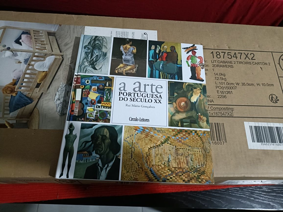 Livro de arte antiga