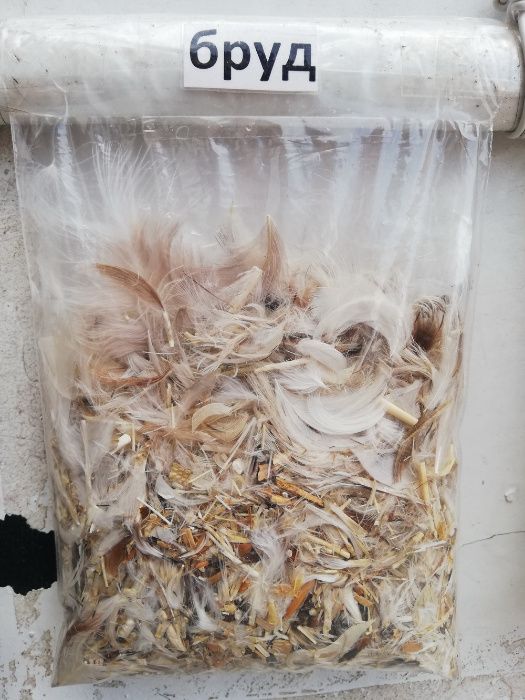 Чистка відновлення реставрація подушок пера Хмельниц область