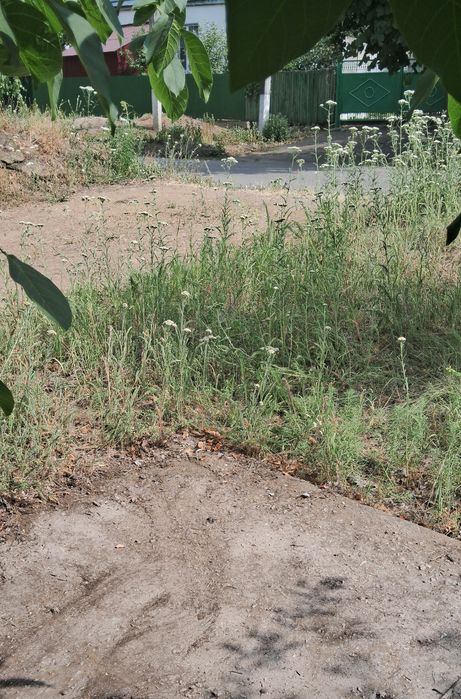 Залізобетонна плита: 4500х3000х120мм. В наявності 1 шт, самовивіз.