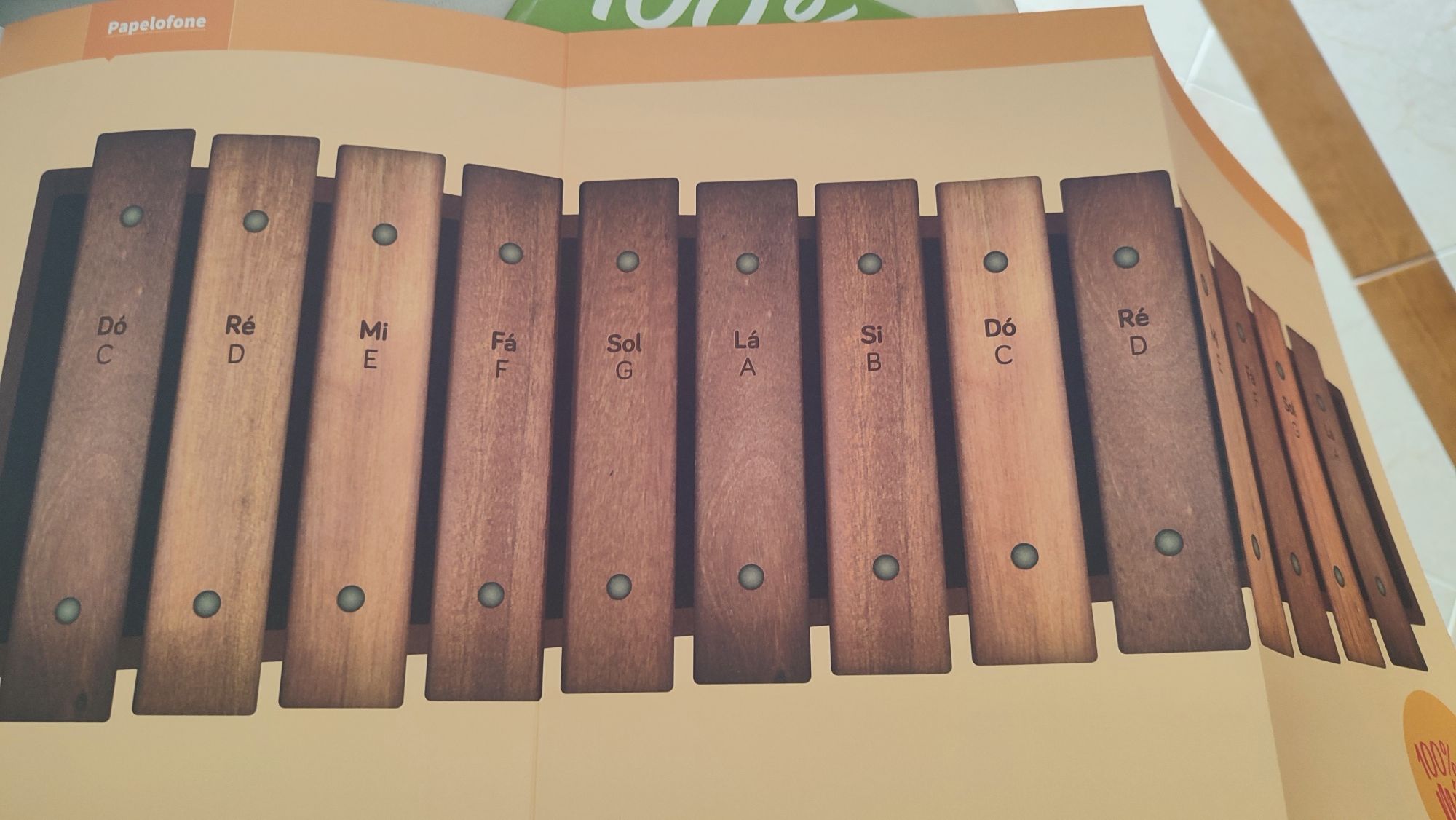 Livro 100% música