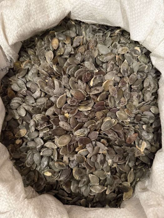 Гарбузова семічка.Голосимянка.Семіка подсолнуха.Шиповнік