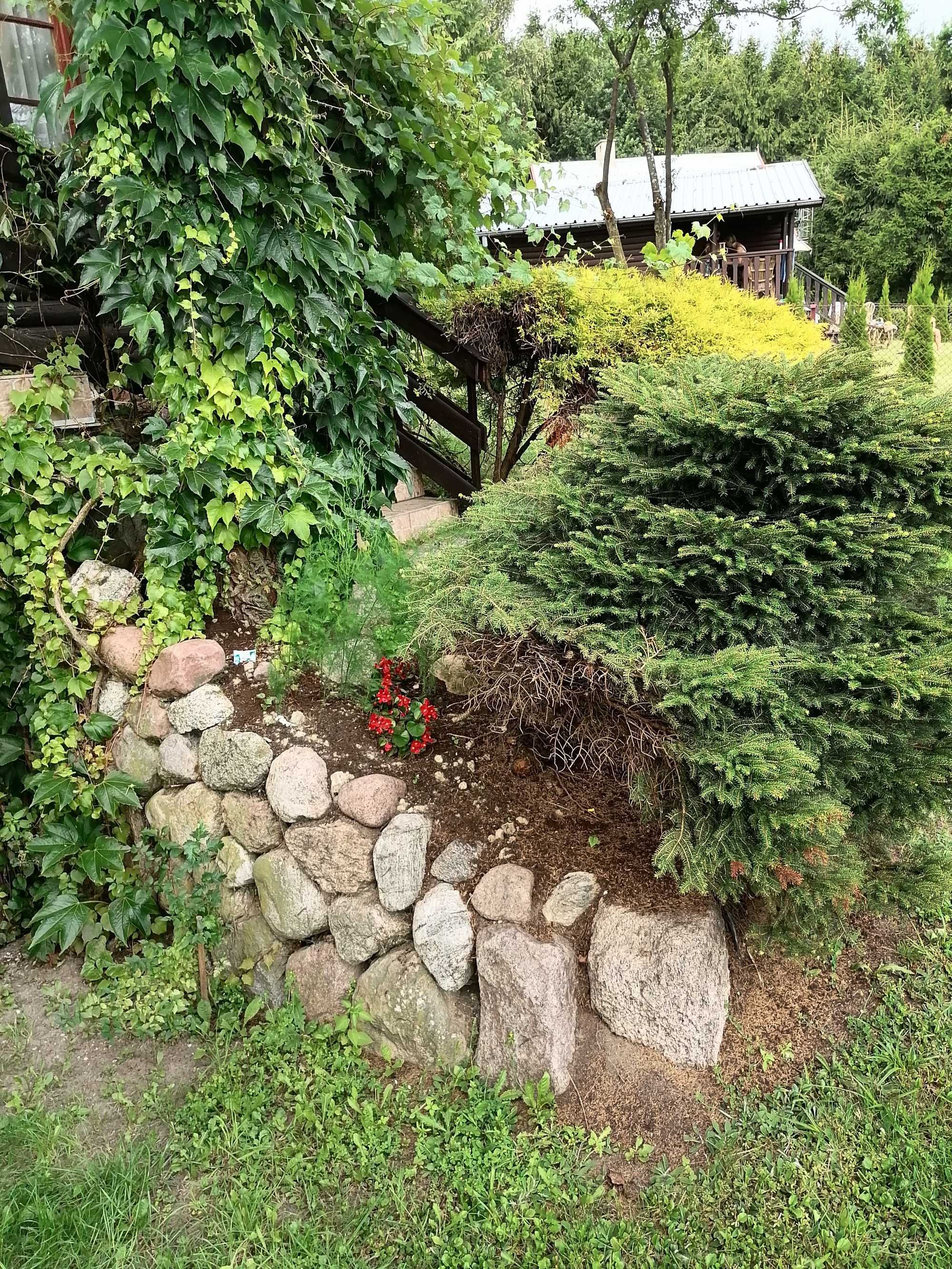 Wynajmę domek letniskowy Blanki